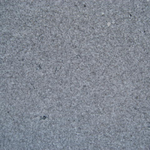 GRIS-SYLVESTRE
