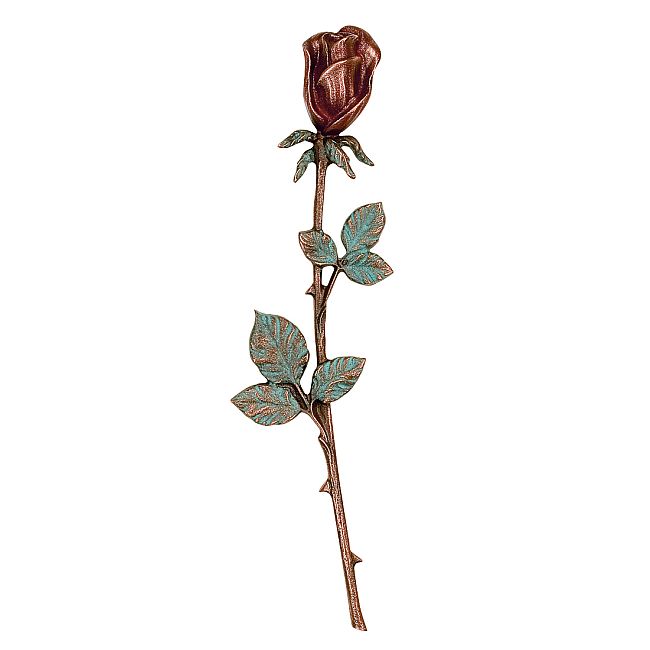 Bronze rose